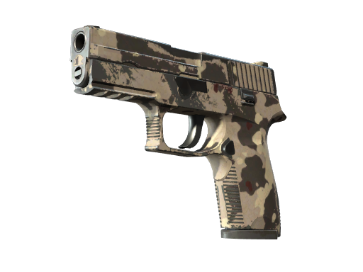 P250 | Black & Tan (Field-Tested)