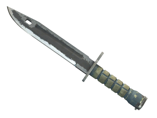 ★ Bayonet | Night (Battle-Scarred)