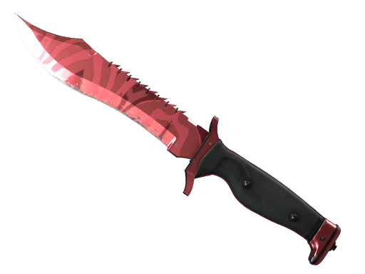 ★ Bowie Knife | Slaughter (Field-Tested)