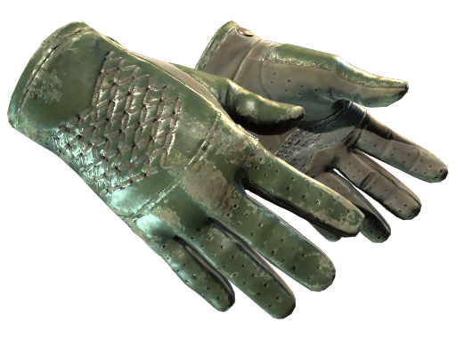 ★ Driver Gloves | Racing Green (Battle-Scarred)