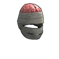 Wrapped Brain