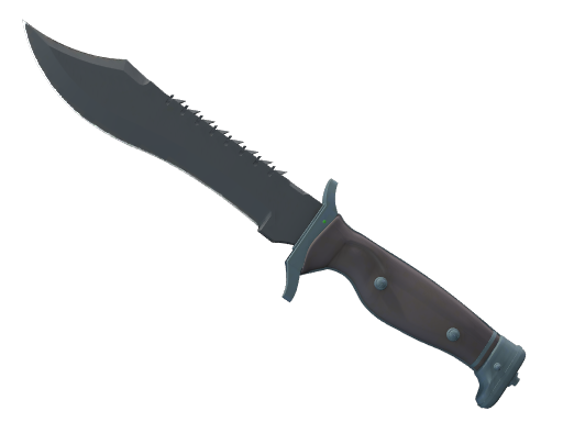 ★ Bowie Knife | Night (Minimal Wear)