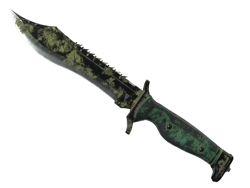 ★ Bowie Knife | Boreal Forest (Battle-Scarred)