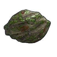 Swamp Rock