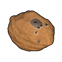 Capybara Rock