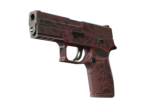 StatTrak™ P250 | Contaminant (Well-Worn)